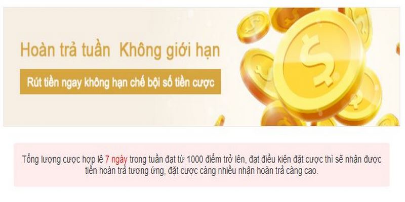 Khuyến mãi hoàn trả tiền cược hàng tuần áp dụng tại Kubet