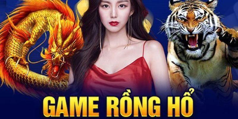 Tổng quát nội dung về rồng hổ Kubet